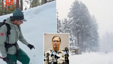 Sheriff probing Lake Tahoe guide company after deadly avalanche killed 8 skiers