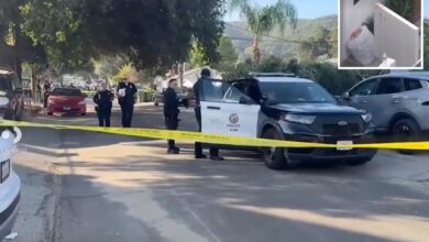 Shocking footage shows horrifying moment knife-wielding ‘psychopath’ neighbor stabs girl, 10, and grandfather