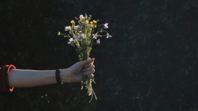 Show You Care (with Econ)