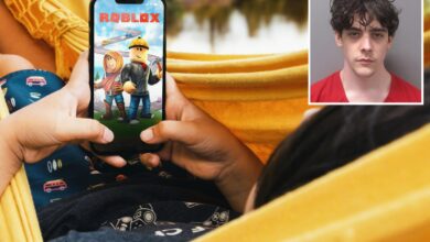 Sicko allegedly tried to get teen girl he met on Roblox to kill herself after sending him nudes