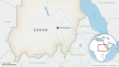 Strike on market in Sudan kills at least 28 people, rights group says