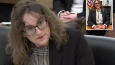 Trans Minnesota Dem Leigh Finke argues ‘queer’ kids need access to porn sites for ‘educational’ reasons