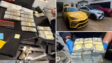 Twenty-five stolen cars, 0,000 cash and guns