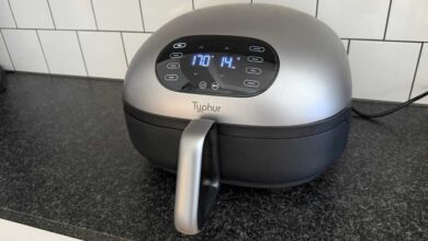 Typhur Dome 2 Review: Large Air Fryer with Dual Heating Elements