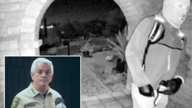 Why Nancy Guthrie hasn’t been found — from cops’ early errors to DNA blunder