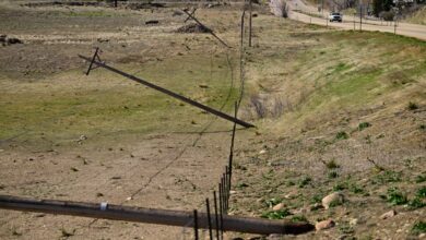 Xcel Energy’s preemptive power shutoffs scrutinized by lawmakers