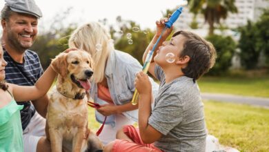 Your pets may feel like family, but can you claim them as dependents on your tax return?