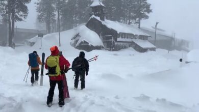8 of 9 missing skiers found dead following California backcountry avalanche
