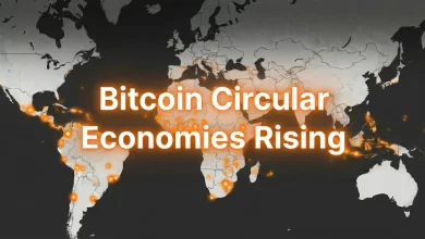 Strategies For Sustainable Bitcoin Circular Economies Emerge
