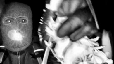 New Guthrie video can help law enforcement build a profile of armed individual, former agents say