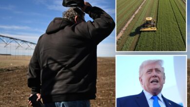 American farmers struggle with higher prices from Iran war, tariffs: ‘Double whammy’