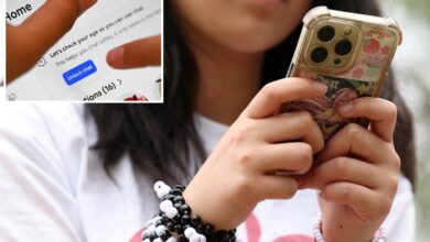 Australia says it may go after app stores, search engines in AI age crackdown