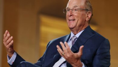 BlackRock CEO Larry Fink took home nearly M last year