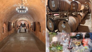 California wine industry in Napa fights back