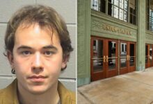 Chicago train stabber Zakir Ibrahim arrested for attempted murder claimed he was CIA agent