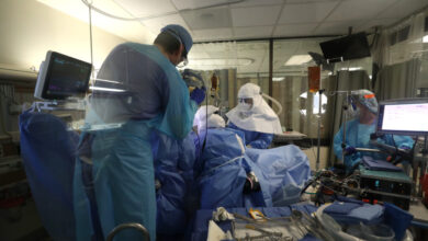 Covid deaths undercounted, U.S. scientists in peril