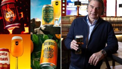 Craft beer BrewDog to launch in Hamptons after Tilray CEO buys troubled brewer