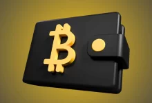 How Companies Are Learning to Accept Crypto Payments