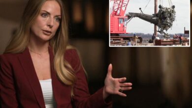 DC air traffic controller Emily Hanoka reveals ‘warning signs were all there’ before midair crash that killed 67