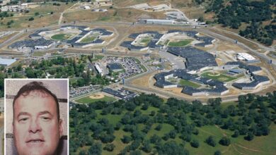 Gavin Newsom’s law grants parole to pedophile with 300-year sentence