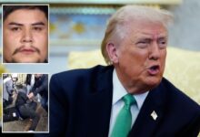 Here’s how many illegal migrant gangbangers DHS arrested this year under Trump