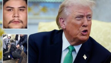 Here’s how many illegal migrant gangbangers DHS arrested this year under Trump