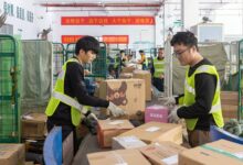 Holiday spending and export demand drive China’s early year economic momentum