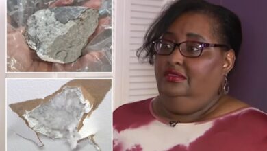 Houston woman Sherrie James claims suspected meteorite smashed into house after blast rattles residents