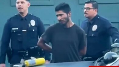 ICE arrests ‘flamethrower’ illegal tackled and zip-tied by mob in California wildfires