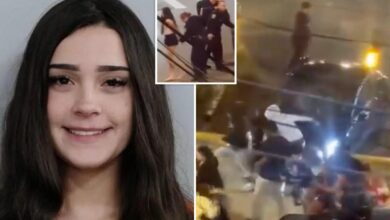 Kentucky Tesla driver smiles in mugshot after drunkenly plowing through crowd: cops