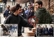 Mamdani refuses to condemn alleged ISIS-loving bomb tossers