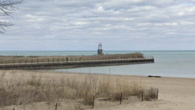 Migrant arrested in Loyola student’s murder has been AWOL from court case since 2023: records