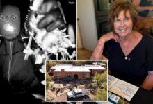 Nancy Guthrie abductor likely had as many as four accomplices, retired Pima county detective says