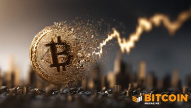 Bitcoin Volatility Falls As Asset Matures, Charles Schwab Report Finds