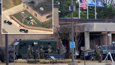 Possible motive of Michigan maniac who plowed car full of explosives into Temple Israel preschool revealed: report