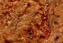 Questcorp Mining completes IP survey at BC’s North Island Copper Project