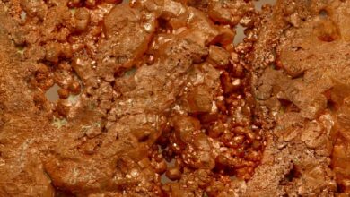 Questcorp Mining completes IP survey at BC’s North Island Copper Project