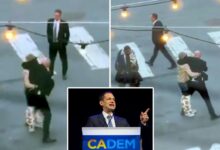 San Francisco mayor under fire for response to attack on bodyguard