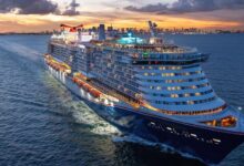 Say Hello to the Monster Stock That Crushed the Market. Here Are 3 Reasons Why You Should Buy and Hold It for 5 Years.