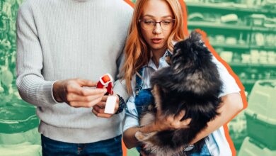 Most Pet Owners Spend ,000 a Year. Here’s Where It Goes