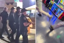 Terrifying moment bullets fly on Santa Monica Pier during mass brawl, two shot