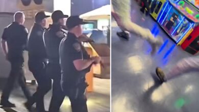 Terrifying moment bullets fly on Santa Monica Pier during mass brawl, two shot Terrifying moment bullets fly on Santa Monica Pier during mass brawl, two shot