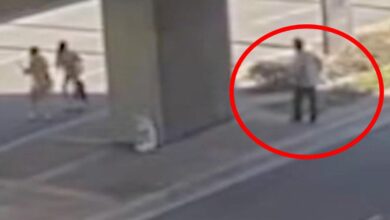 Terrifying moment homeless man seen chasing after mom and daughter before brutally attacking them