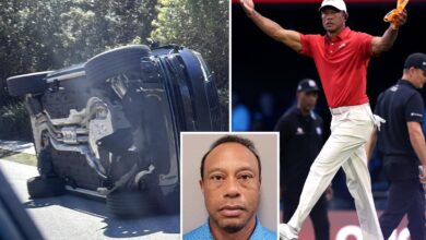 Tiger Woods pleads not guilty to DUI charges stemming from latest car crash in Florida
