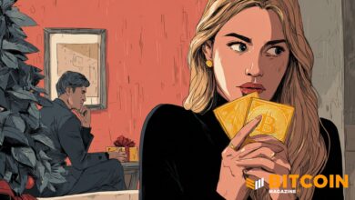 Wife Accused Of Spying And Stealing 2M In Bitcoin From Husband