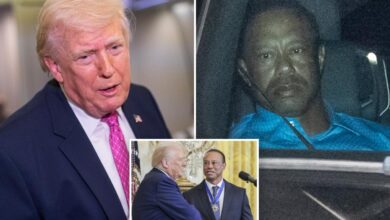Trump on Tiger Woods’ Florida rollover DUI crash, tells The Post Vanessa’s boyfriend endures ‘a life of pain’
