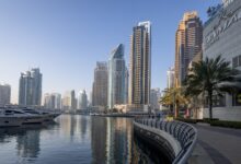 World News Updates: Why Everyone Is Talking About the UAE Exiting OPEC (And You Should Too)