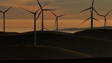 U.S to pay TotalEnergies billion to kill East Coast wind projects