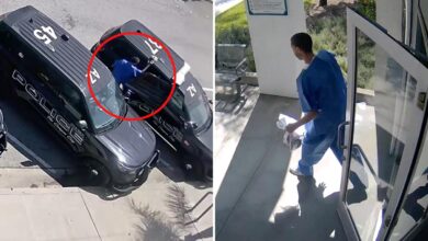 Video shows Eric Valencia get into police squad car where he was later found dead