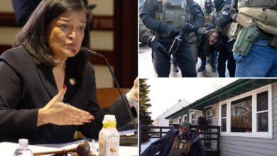 Washington Rep. Pramila Jayapal calls for reparations for illegal immigrants ‘traumatized’ by ICE